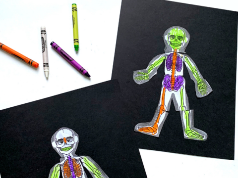 Image for Skeleton Craft for Preschool