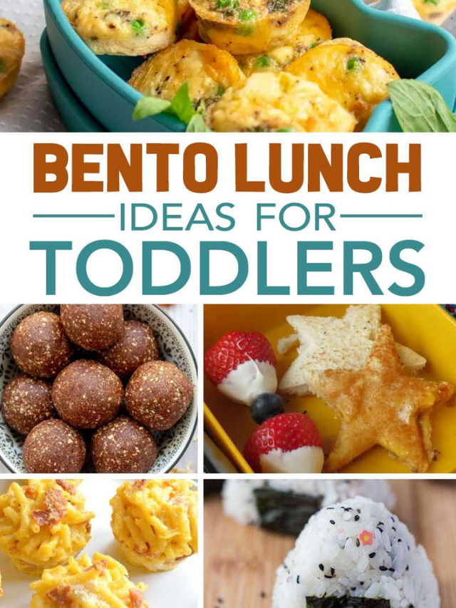 20 of the BEST Bento Lunch Ideas for Toddlers Story