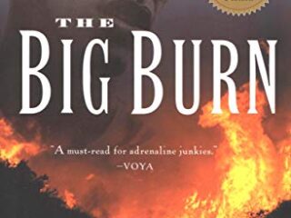 Image for The Big Burn