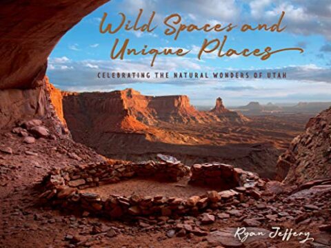 Image for Wild Spaces and Unique Places