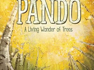 Image for Pando: A Living Wonder of Trees