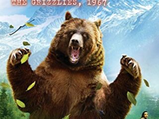Image for I Survived the Attack of the Grizzlies, 1967 (I Survived #17)