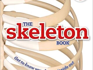 Image for The Skeleton Book: Get to Know Your Bones, Inside Out