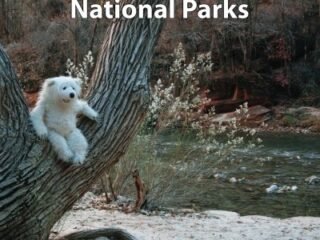 Image for Attu's Adventures in Zion and Bryce Canyon National Parks.