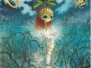 Image for Cinderella Skeleton