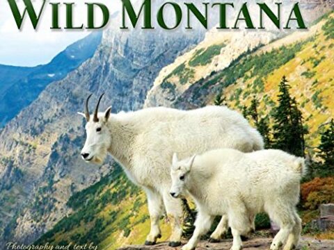 Image for Donald M. Jones' Wild Montana