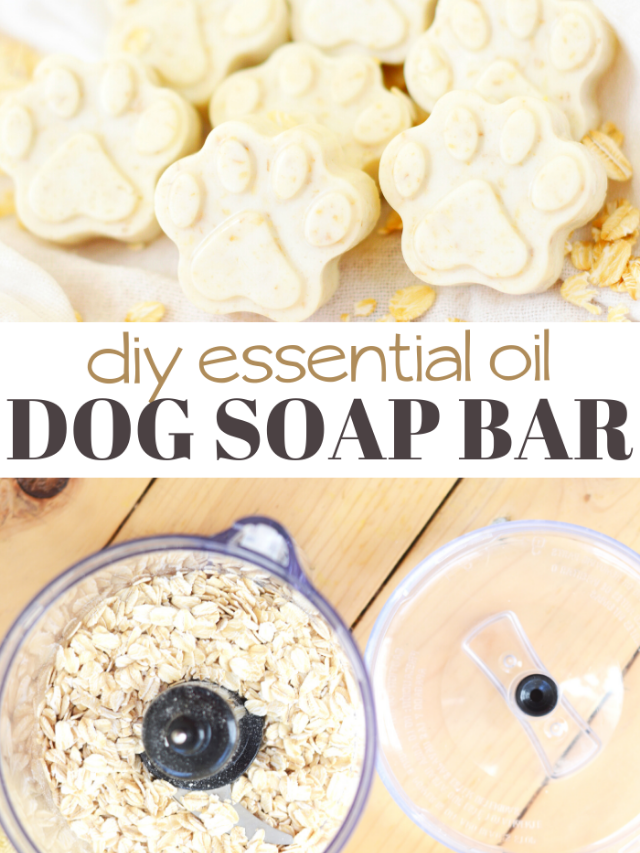 Homemade Dog Soap Bar Recipe for your Four-Legged Friends Story