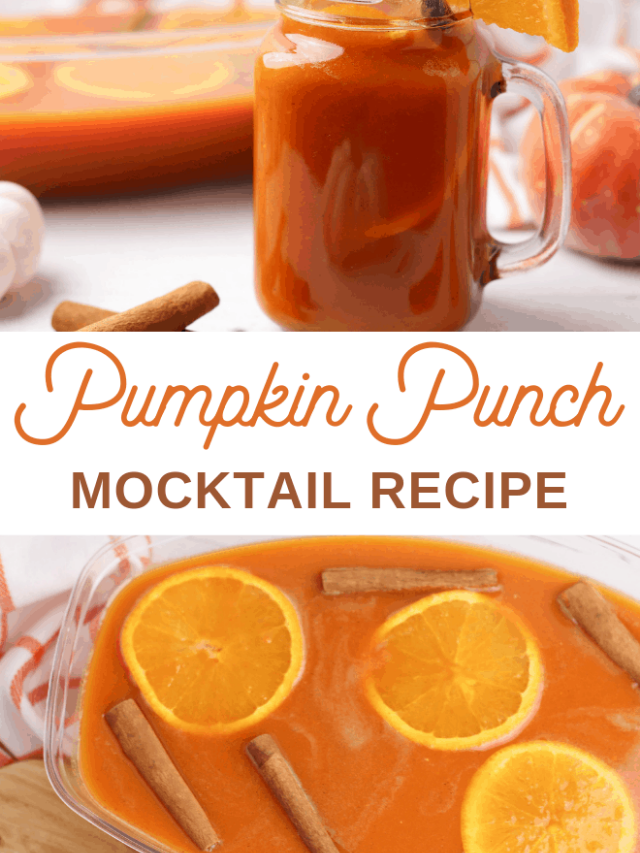 Pumpkin Punch Recipe, a Fun Fall Drink Story