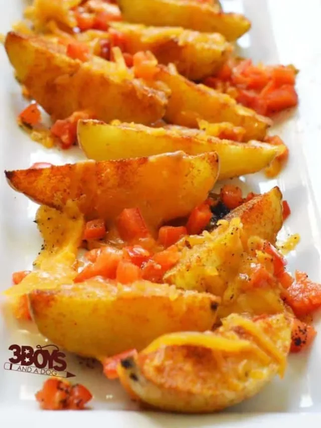 cropped-Southwestern-Cheddar-Steak-Fries.jpg.webp
