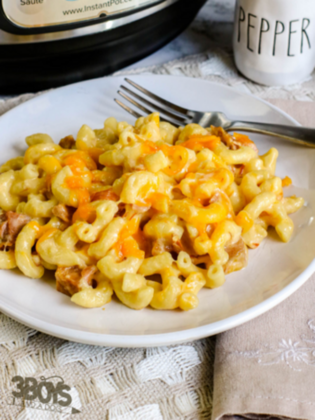 Instant Pot Ham and Cheese Mac Story