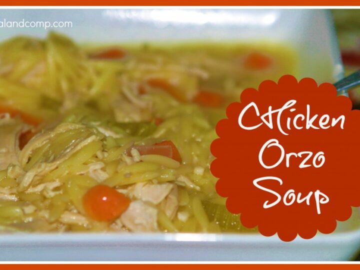 Image for Easy Recipes: Chicken Orzo Soup