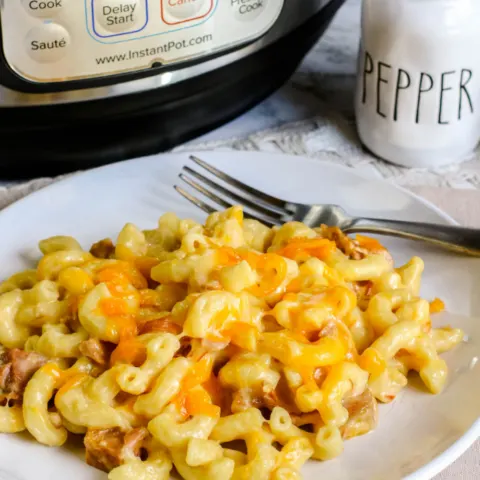Instant Pot Ham and Cheese Mac