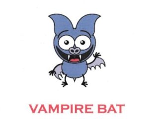Image for Batty, The Vampire Bat