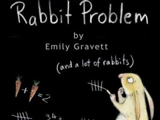 Image for The Rabbit Problem