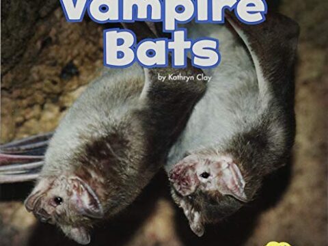 Image for Vampire Bats: A 4D Book (Mammals In the Wild)