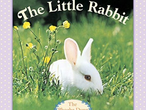 Image for The Little Rabbit (Pictureback(R))