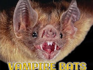 Image for Vampire Bats After Dark (Animals of the Night)
