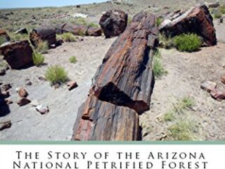 Image for When Wood Turns to Stone: The Story of the Arizona National Petrified Forest (Exploring Nature Series Book 4)