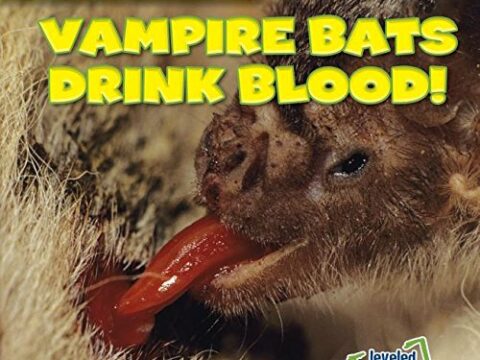 Image for Vampire Bats Drink Blood! (Nature's Grossest)