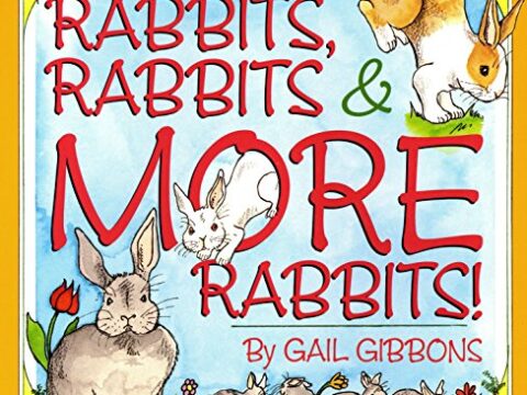 Image for Rabbits, Rabbits & More Rabbits