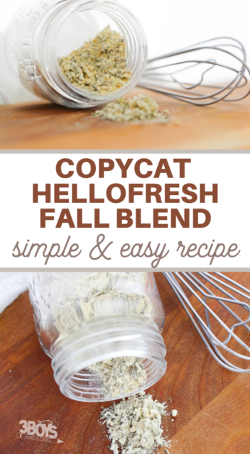 Copycat HelloFresh Fall Spice Blend - 3 Boys and a Dog