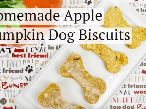 Image for Homemade Apple Pumpkin Dog Biscuits