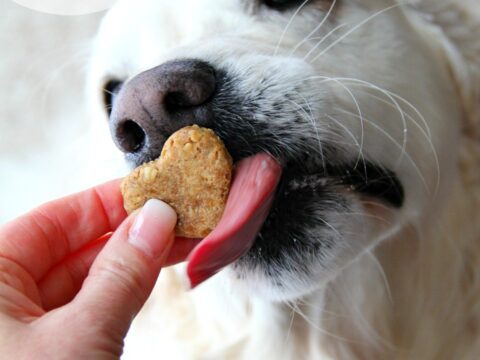 Image for Peanut Butter and Banana Homemade Dog Biscuits