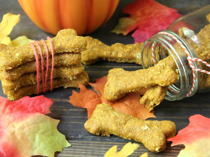 Image for Homemade Pumpkin Oatmeal Dog Treats