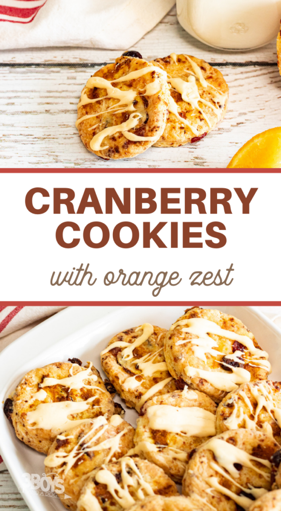 Cranberry Orange Cookies Recipe - 3 Boys and a Dog