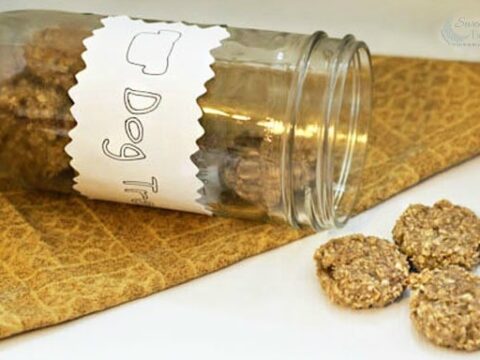Image for Oatmeal Banana Homemade Dog Treats Recipe