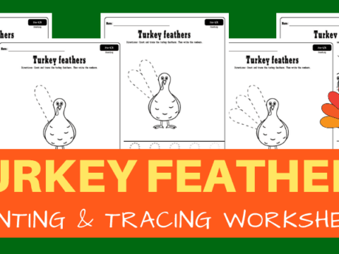 Image for Turkey feathers counting worksheets