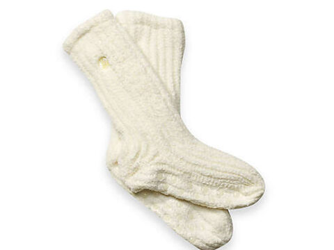 Image for Dream Silk™ Cozy Socks™ in Cream
