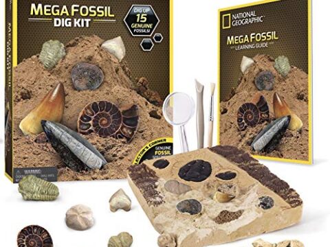 Image for NATIONAL GEOGRAPHIC Mega Fossil Dig Kit