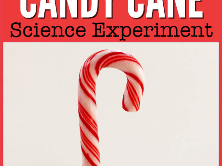 Image for Candy Cane Science Experiment