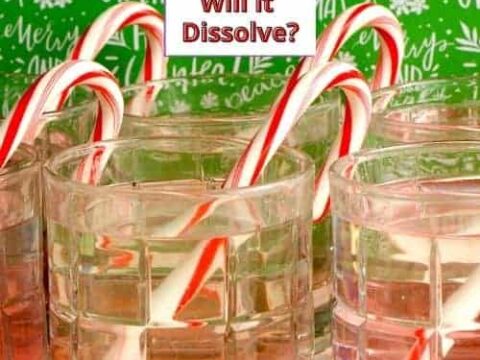 Image for Dissolving Candy Cane Experiment