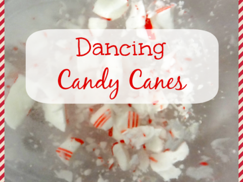 Image for Dancing Candy Canes