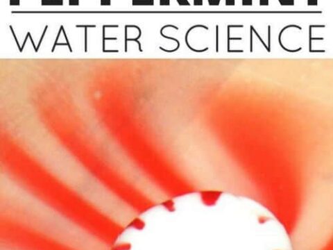 Image for Dissolving Peppermint Experiment