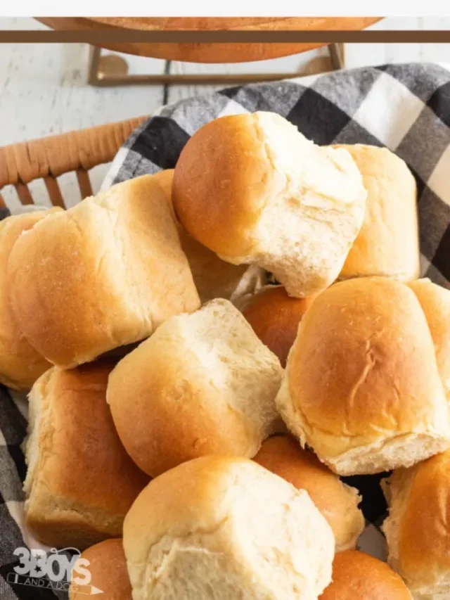 Flavorful Applesauce Wheat Rolls Recipe Story