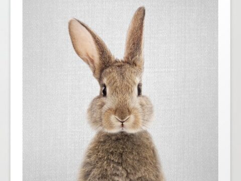 Image for Rabbit - Colorful Art Print by Gal Design