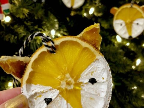 Image for How to Make Dried Orange Slices Fox Ornaments 