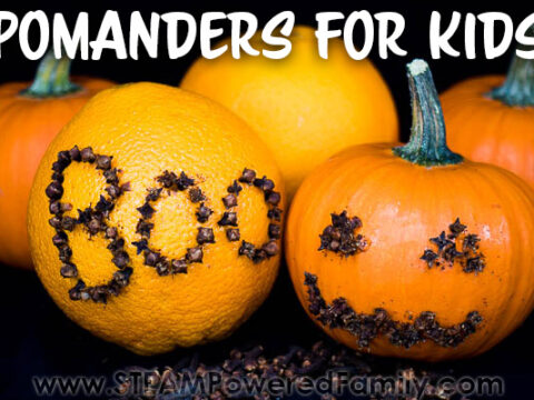Image for Pomander Activity for Kids