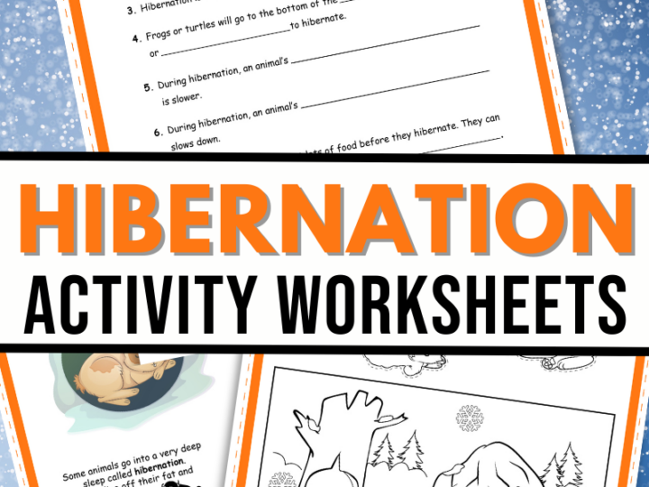 Image for Hibernating Animals Activity Pack
