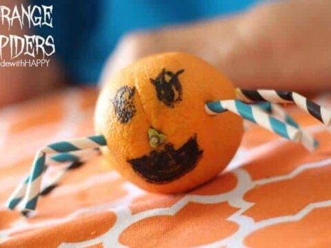 Image for Making a spider out of an orange