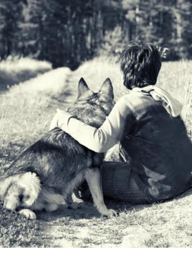 15 Heart-Warming Boy and Dog Quotes Story
