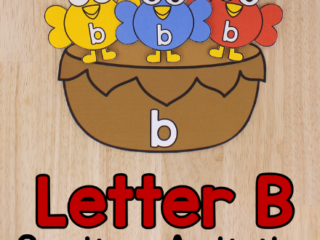 Image for Letter B is for Birds Sorting Activity
