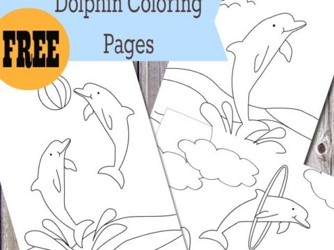 Image for Free Printable Dolphin Coloring Pages