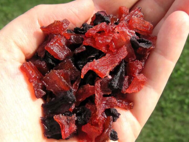 Image for Zucchini Gummy Candy - A Fun and Easy Zucchini Recipe