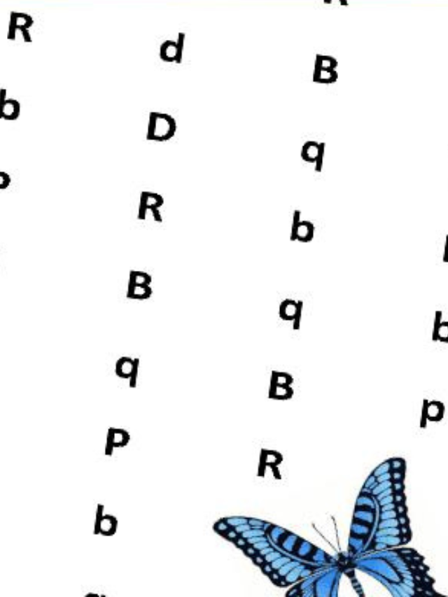 Find the Letter: B is for Butterflies Story