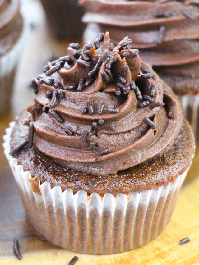 Double Chocolate Cupcakes Recipe