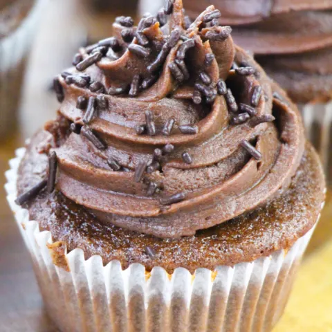 Double Chocolate Cupcakes Recipe
